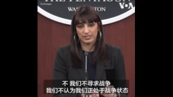 美国防部：不与胡塞武装寻求战争 美国与伙伴的行动是自卫 