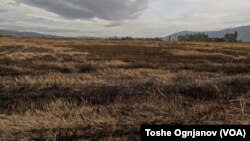 Познавачите препорачуваат други методи за уништување плевел и штетници, наместо палење