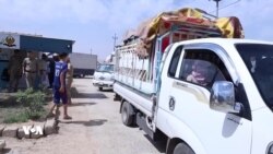 Koçberên Êzîdî yên li Şarya û Bêrsivê Vedigerin Şengalê