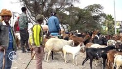 “የሰላሙ ሁኔታ የበዓል ገበያውን አንሮታል”