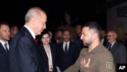 Presidenti turk Recep Tayyip Erdogan dhe presidenti ukrainas Volodymyr Zelenskyy gjatë takimit në Stamboll, 8 korrik, 2023 .
