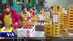 Eksportuesit kërkojnë ndihmën e autoriteteve përballë zhvlerësimit të valutave