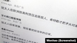 一些中国网民为希特勒对犹太人的屠杀做辩护（2023年10月10日）