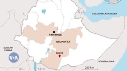 Lola Humnoota Mootummaa Itiyoophiyaa fi Waraana Bilisummaa Oromoo Gidduutti Geggeessamaa Jiruun Namoonni Nagaan Miidhamuun Himame