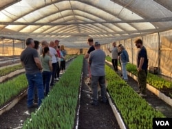 工作结束后，农场主人阿维 (Avi)带着大家参观种植郁金香的温室，并导览解说。(美国之音/赖素芬)