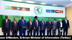 የምሥራቅ አፍሪካ አገሮች የጋራ ልማት ትብብር/ኢጋድ ጉባኤ ጅቡቲ