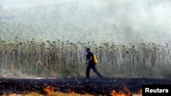 АРХИВА - Пожарникар покрај шумски пожар во близина на Штип, Северна Македонија, 31 јули 2024 година.