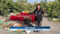 Binêrin Jinên Wanî Çawa bi Gîyayên Cûrbecûr Rengên Xalî û Kîlîman Çêdikin