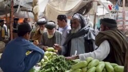 په چمن سرحدي ښار کې خلک وايي، د ﺭوژې مياشتې له شروع کيدو سره سم د خوﺭاکې توکو او په خاصه توګه د سبزيانو قميتونه ﺯيات شوي
