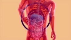 የማኅበረሰብ የጤና ስጋት - ሄፓታይተስ፤ የጉበት መቆጣት