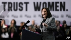 美国副总统哈里斯2024年1月22日在威斯康星州大本德举行的国际漆工和联合行业联合会区议会第7届会议上发表讲话。（美联社照片）