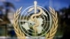 全球突发卫生事件成为世卫组织年会首要议程