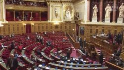 Fransa’da yeni Göç Yasası Senato’dan “sertleştirilerek” geçti