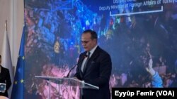 Mehmet Kemal Bozay, Alîkarê Wezîrê Karêder yê Tirkîyê