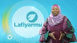 Hira Da Babban Darekta Janar Mai Kula Hukumar Da Dakile Yaduwar Cutar Ta AIDS NACA Gambo Aliyu
