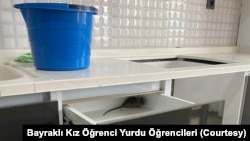 Öğrenciler, hijyen sıkıntısı yüzünden evlerde böcek ve farelere rastladıklarını söylüyor.