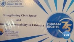  በኢትዮጵያ በመንግሥት አካላት እንደታወከ የተገለጸው የሲቪክ ምኅዳሩ “ችግር ላይ ነው” ተባለ