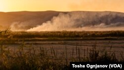 Чад со километри низ кочанско поле после жетвата на оризот