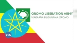 Walitti-bu’insi Humnoota Mootumaa fi WBO Oromiyaa Godinaalee Adda Addaa Keessatti Hammmaataa Dhufuun Himame