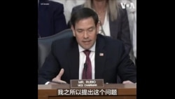 鲁比奥：TikTok给美国用户和社会带来风险