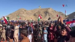 د پښتونخوا نېشنل عوامي ګوند مشر له پاکستانه په زوره د افغان کډوالو ستنول غندلي
