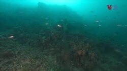 64 заглавени рибарски мрежи извадени од Охридското Езеро