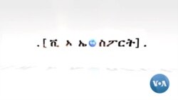 በተለያዩ ሀገራት የማራቶን ውድድሮች ኢትዮጵያውያን አትሌቶች አሸነፉ 