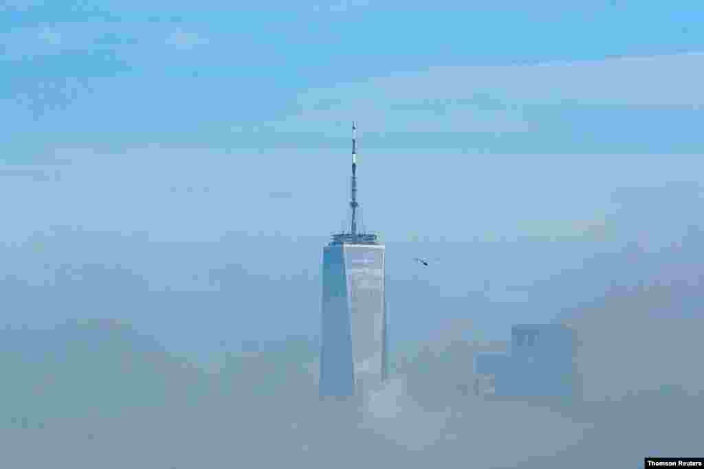 미국 뉴욕주 맨해튼의 월드 트레이드 센터가 안개에 싸여있다. 