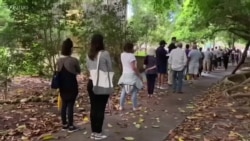 2020美国大选提前投票人数创历史纪录