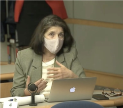 گیتا آرین، صدای آمریکا