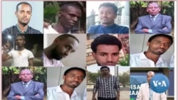 Gaazzexeessonni ONN 2 fi Kanneen Fonqolcha Mootummaan Himataman Biroo Irratti Manni-murtii Ragaa Namaa Dhaggeeffate 