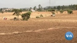 “እኛ የምንፈልገው ሰላም ነው” የትግራይ አርሶአደሮች 