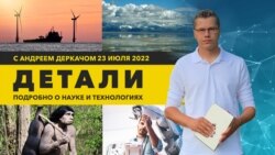 Робот со способностями геккона, газ из пищевых отходов, грузовые суда с надувными парусами | Детали