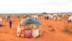 Boorana Keessatti Jiraattonni Kuma Hedduun Sababaa Hongeetiin Buqqa’an Gargaarsa Dhabnee Rakkoo Hamaa Keessa Jirra Jedhu