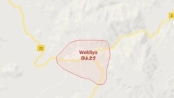 ክፍል ሁለት፤ ወልድያ ልጆቻቸው ከተገደሉባቸው ወላጆች ጋር የተደረገ ቃለምልልስ