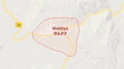 ወልድያ ላይ ንብረት የወደመባቸው አቶ ኃይላይ ንጉሤ