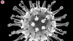 In Georgia, Clerics Use Anti-Vaxx Rhetoric, Call Pandemic a “Bluff”