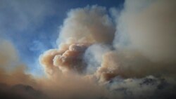 ဈေးတင် အမြတ်မထုတ်ဖို့ California ပြည်နယ်ရှေ့နေချုပ် သတိပေး