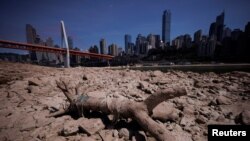 中国重庆段长江因干旱裸露的河床。（2022年8月18日）
