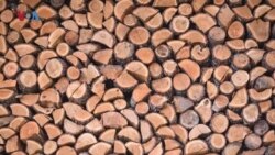 Двојно зголемена побарувачката за огревно дрво, „Национални шуми“ бараат повисоки цени