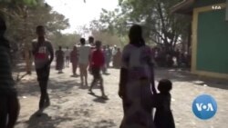 ካብ ክልል ትግራይ ዝተፈናቐሉ ብኣሽሓት ዝቑጸሩ ሰባት ናብ ሰሜን ወሎ ይኣትው ምህላው ተገሊጹ