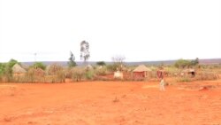 Oromiyaatti Namoonni Sababaa Hongeen Miidhaman Gargaarsi Arganne Rakkoo Nu Mudate Hin Madaalu, Jedhan 