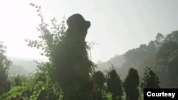 Kanpetlet CDF / ကန်ပက်လက် (မှတ်တမ်းဓါတ်ပုံ)