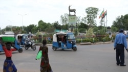 Riphxeeloltoonni 24 Nagaan Harka Kennatan, Jedha Mootummaan Naannoo Gaameellaa