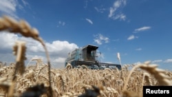 Архівне фото, 2020 рік, Україна