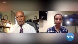 የአሜሪካ ዲሞክራሲ ፈተና በአጋማሽ ምርጫ 