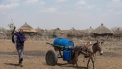 Balaa Hongee Naannoolee Oromiyaa fi Samaalee Keessaa Furuuf Mootummaan Deebii Gahaa Hin Kennine: Koomishiniin Mirga Namoomaa Itiyoophiyaa  