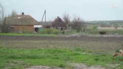 乌克兰：尽管遭到炮击，一些农民仍留在他们的土地上