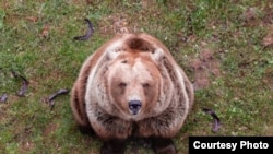 Pionirska dolina, Sarajevo