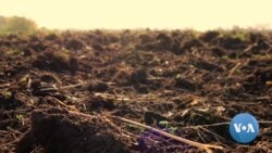 ስለአየር ንብረት ለውጥ መረጃ ያላቸው አርሶአደሮች 18 ከመቶ ብቻ ናቸው